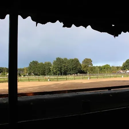 Domek alpejski Rustig Gelegen In Het Bos - Putten