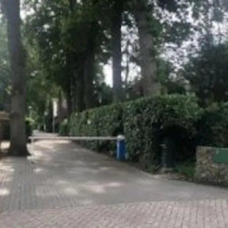 Rustig Gelegen In Het Bos - *