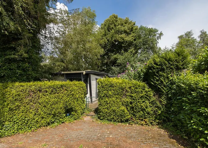 Chalet Rustig Gelegen In Het Bos -