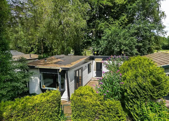 Rustig Gelegen In Het Bos - * Putten