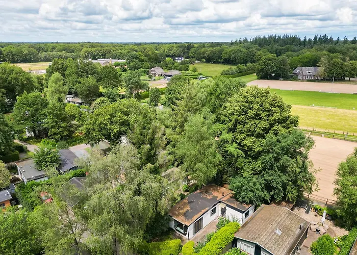 Rustig Gelegen In Het Bos - *